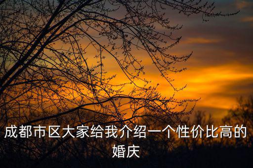 成都市區大家給我介紹一個性價比高的婚慶