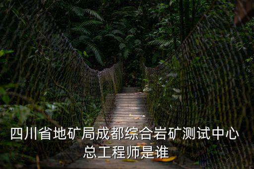 四川省地礦局成都綜合巖礦測試中心 總工程師是誰
