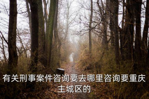 重慶市張曦律師，重慶市渝北區(qū)最名的律師關系比較好的跟政府法院關系較好的