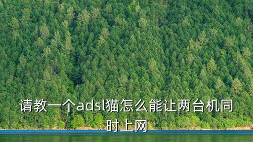 請教一個adsl貓怎么能讓兩臺機同時上網