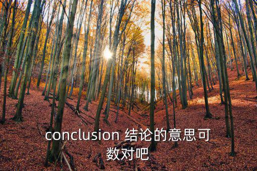conclusion 結論的意思可數對吧