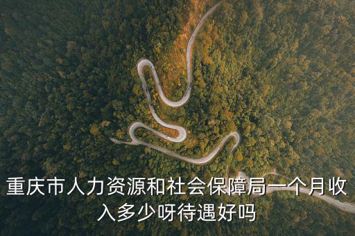 重慶市人力資源和社會保障局一個月收入多少呀待遇好嗎
