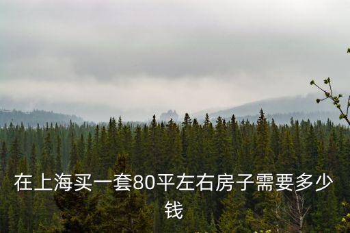 上海3000萬左右的房子多少平，上海房價現在是多少錢一平方