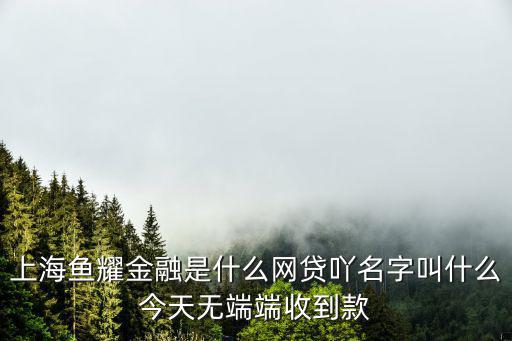 上海金融是啥網(wǎng)貸，上海魚耀金融信息有限公司是哪個網(wǎng)貸