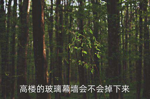 高樓的玻璃幕墻會不會掉下來