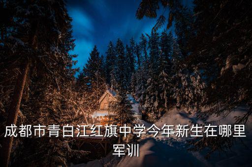 成都市青白江紅旗中學今年新生在哪里軍訓