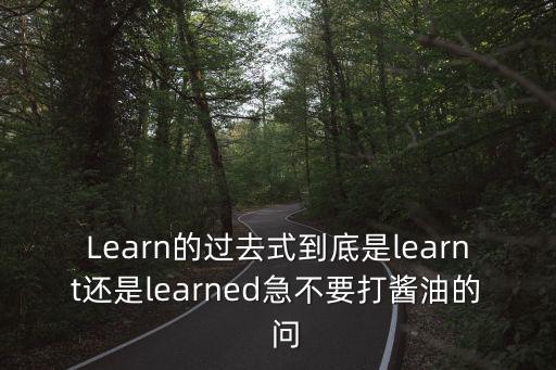 Learn的過去式到底是learnt還是learned急不要打醬油的  問