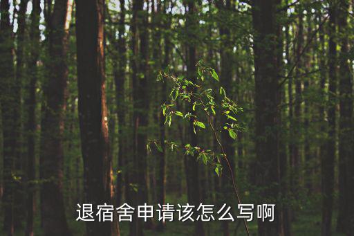 退宿舍申請(qǐng)?jiān)撛趺磳?xiě)啊