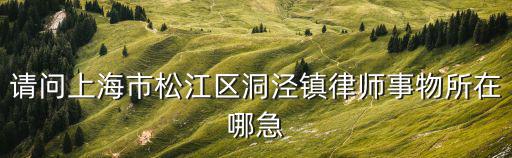 請問上海市松江區洞涇鎮律師事物所在哪急