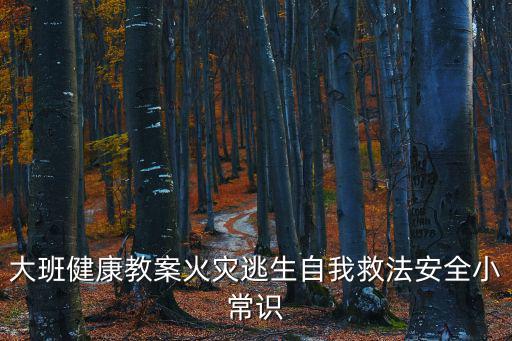 大班健康教案火災逃生自我救法安全小常識