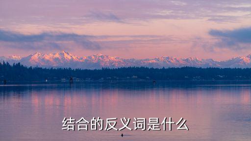 結合的反義詞是什么