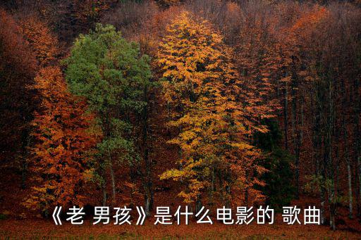 《老 男孩》是什么電影的 歌曲