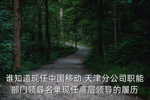 誰(shuí)知道現(xiàn)任中國(guó)移動(dòng) 天津分公司職能部門(mén)領(lǐng)導(dǎo)名單現(xiàn)任高層領(lǐng)導(dǎo)的履歷