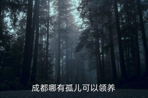 成都哪有孤兒可以領養