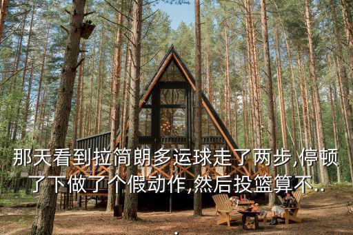 那天看到拉簡(jiǎn)朗多運(yùn)球走了兩步,停頓了下做了個(gè)假動(dòng)作,然后投籃算不...