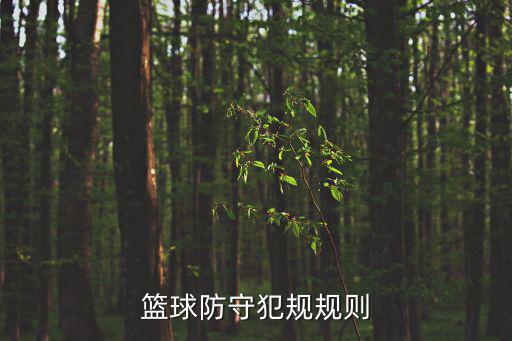 籃球防守犯規規則