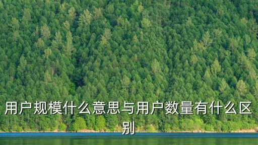 用戶規模什么意思與用戶數量有什么區別