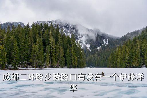 成都二環路少陵路口有沒有一個伊藤洋華