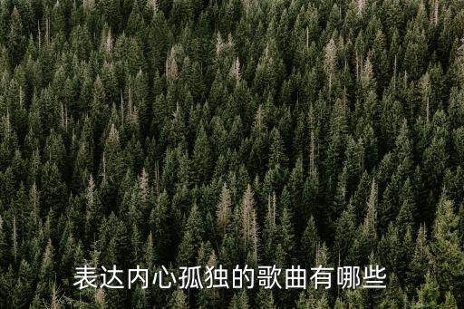 孤獨的歌，找歌名里帶孤獨的一首歌