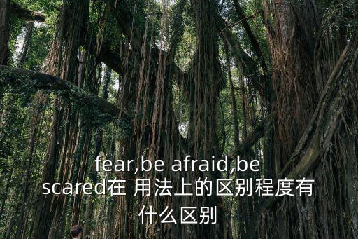 fear,be afraid,bescared在 用法上的區(qū)別程度有什么區(qū)別