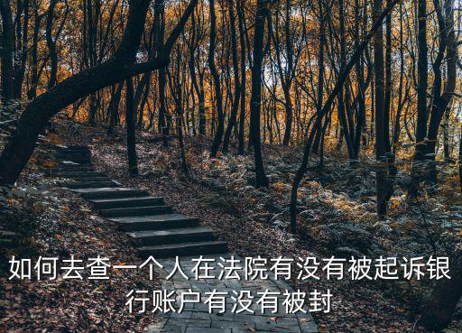 如何去查一個人在法院有沒有被起訴銀行賬戶有沒有被封