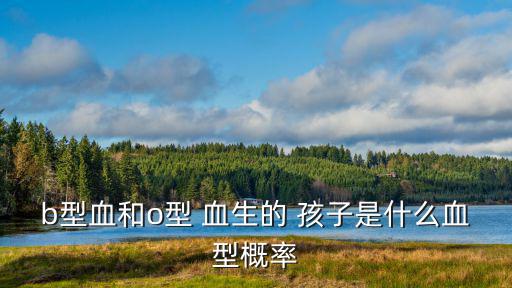 b型血和o型 血生的 孩子是什么血型概率