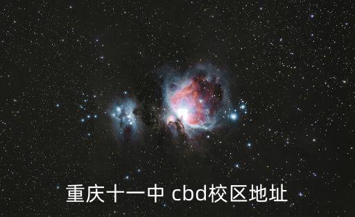 重慶市十一中分校有幾個，崇文區十一中有幾個校區