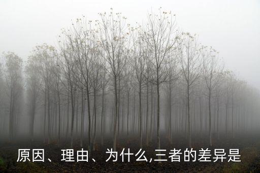 原因、理由、為什么,三者的差異是