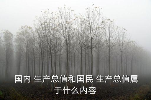  國(guó)內(nèi) 生產(chǎn)總值和國(guó)民 生產(chǎn)總值屬于什么內(nèi)容