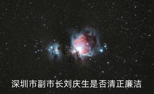 深圳市副市長劉慶生是否清正廉潔
