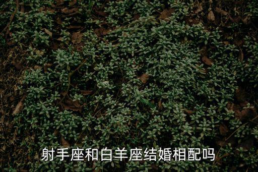 射手座和白羊座結婚相配嗎