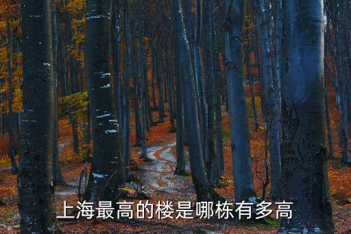 上海中心阻尼器是什么，上海中心大廈為什么風刮不倒