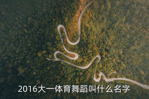 2016大一體育舞蹈叫什么名字