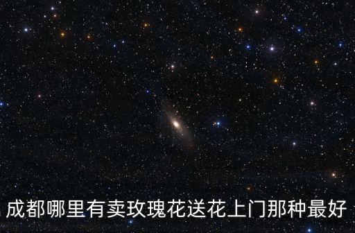 成都哪里有賣玫瑰花送花上門那種最好