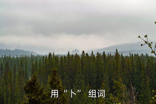 用“卜” 組詞