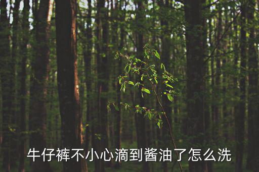 牛仔褲不小心滴到醬油了怎么洗