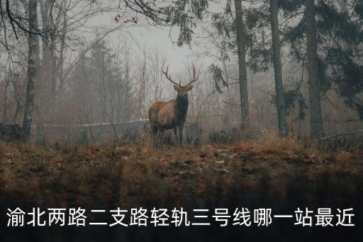 渝北兩路二支路輕軌三號線哪一站最近