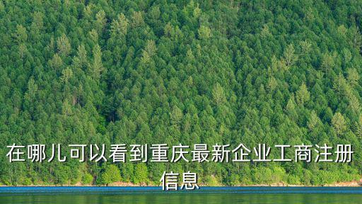 在哪兒可以看到重慶最新企業工商注冊信息