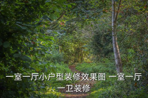 一室一廳小戶型裝修效果圖 一室一廳一衛裝修