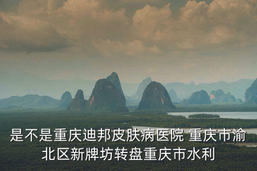 是不是重慶迪邦皮膚病醫院 重慶市渝北區新牌坊轉盤重慶市水利