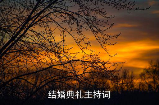 婚禮主持詞，結(jié)婚典禮主持詞