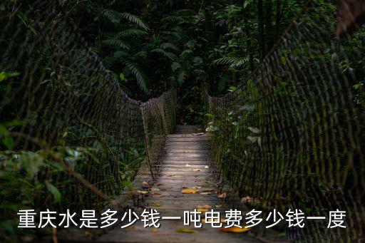 重慶市大學城水費單價，重慶水電費怎么算的多少錢一度電