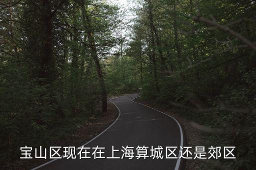 寶山區現在在上海算城區還是郊區