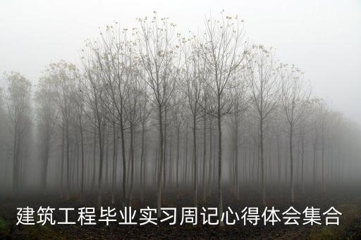 建筑工程畢業(yè)實習周記心得體會集合