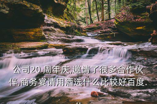 公司20 周年慶,邀請了很多合作伙伴,商務宴請用酒選什么比較好百度...
