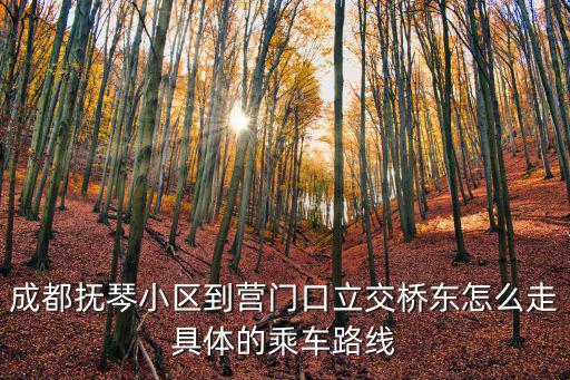 成都撫琴小區到營門口立交橋東怎么走具體的乘車路線