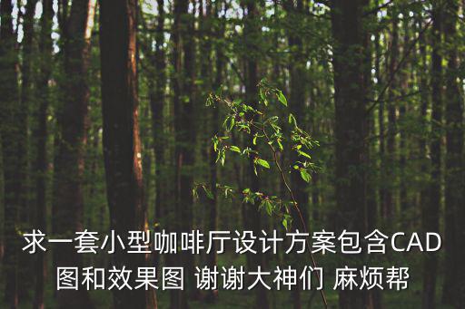 求一套小型咖啡廳設(shè)計(jì)方案包含CAD圖和效果圖 謝謝大神們 麻煩幫