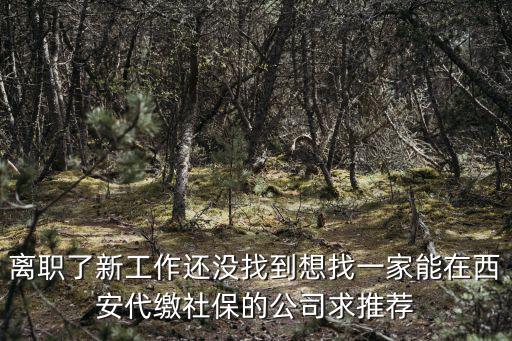離職了新工作還沒找到想找一家能在西安代繳社保的公司求推薦