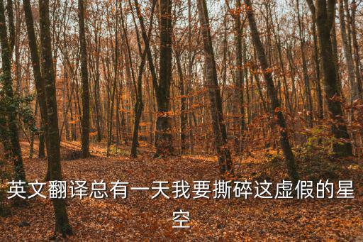 英文翻譯總有一天我要撕碎這虛假的星空