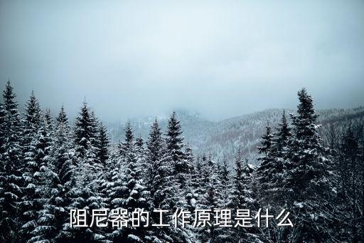 阻尼器的工作原理是什么